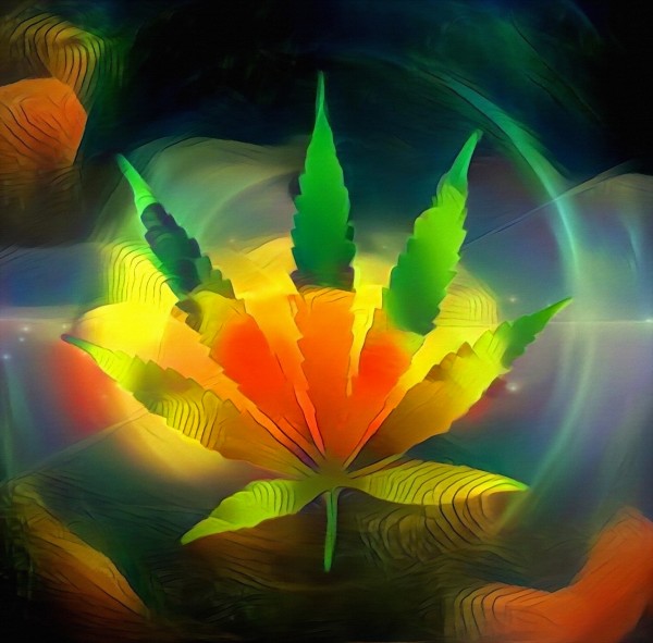 Colors of Marijuana by Bruce Rolff